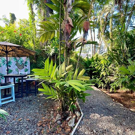 Hotel Exotic Lodge Puerto Viejo de Talamanca Exteriér fotografie